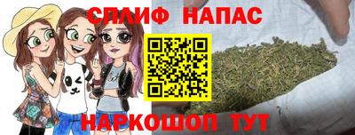 МДПВ Ставрополь