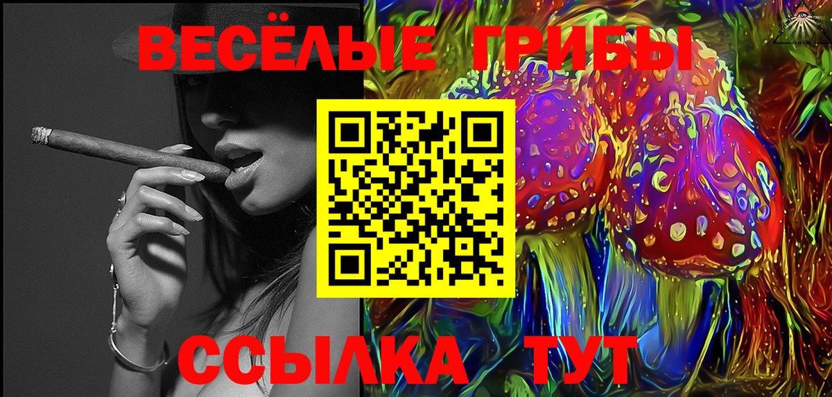 Нарткала  Галлюциногенные грибы GOLDEN TEACHER  Вход с VPN 